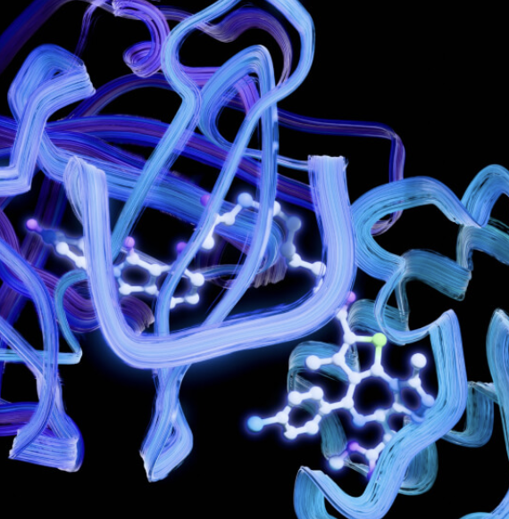 Screenshot 2025-08-21 at 20.56.07